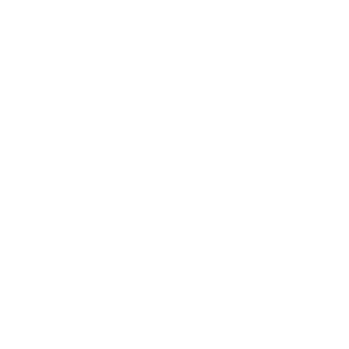 Icon Zielscheibe