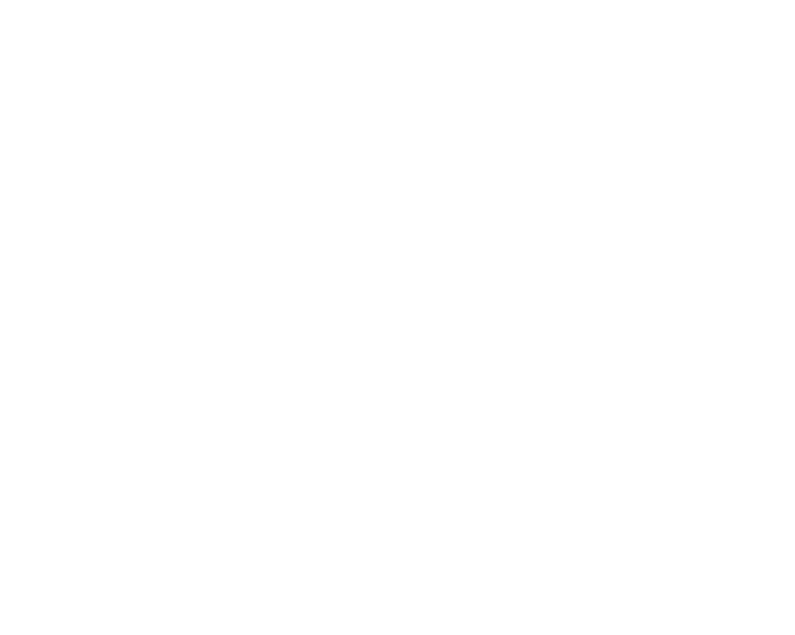 Icon worldwide shipping
