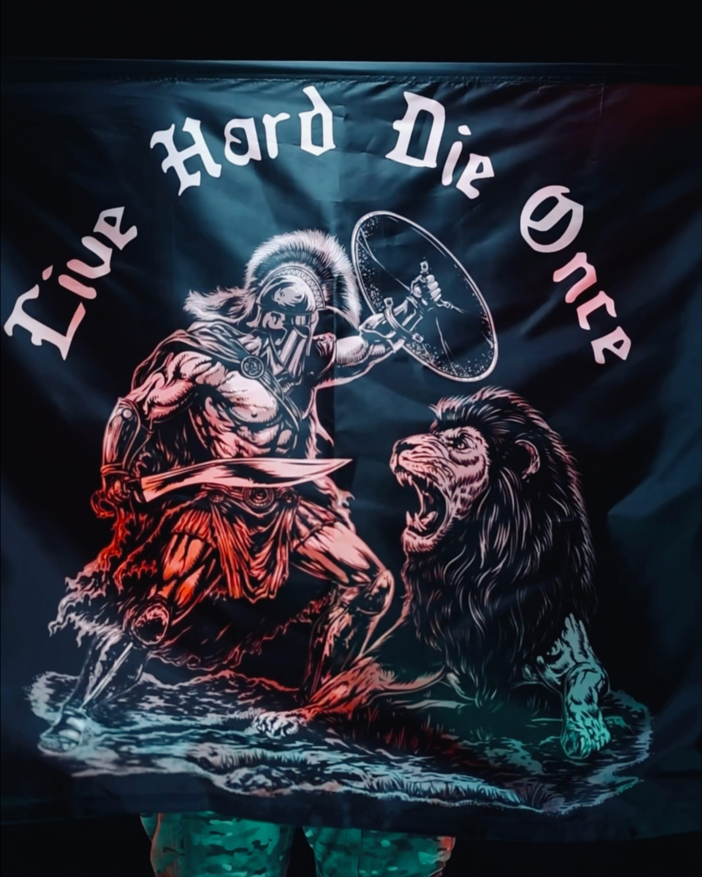 Flag with warrior and lion design and 'Live Hard Die Once' text on a dark background - Die Once Flag #in_studio_and_field