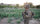 When 100 Taliban Tried to Capture the Special Forces, Temple Stood in Their Way