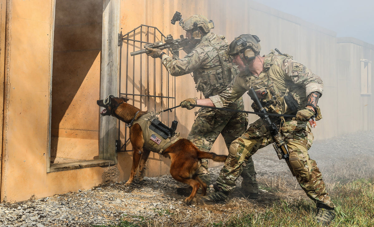 How K9 Dog Maiko Saved the Lives of His Ranger Team