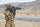 3 Things We Can Learn from the U.S. Armed Forces