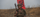 From Refugee to Green Beret: The Story of Tu Lam