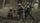 Soldiers in military clothing walking through a forest. 