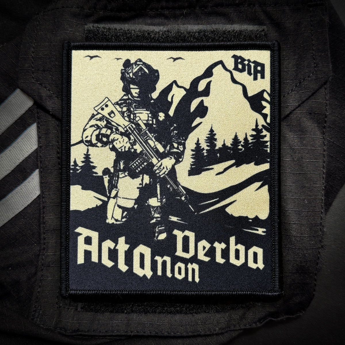 Acta Non Verba patch showing a soldier with a rifle in front of mountains