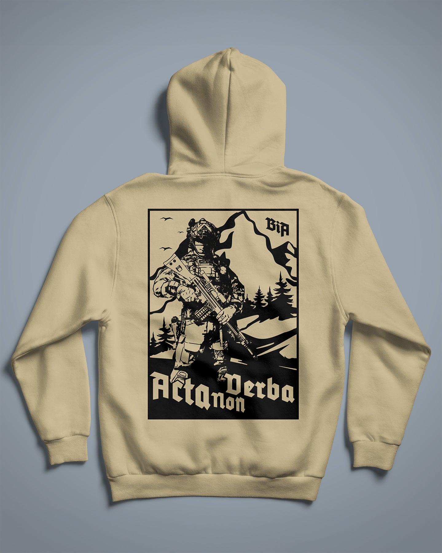 Acta Non Verba Hoodie