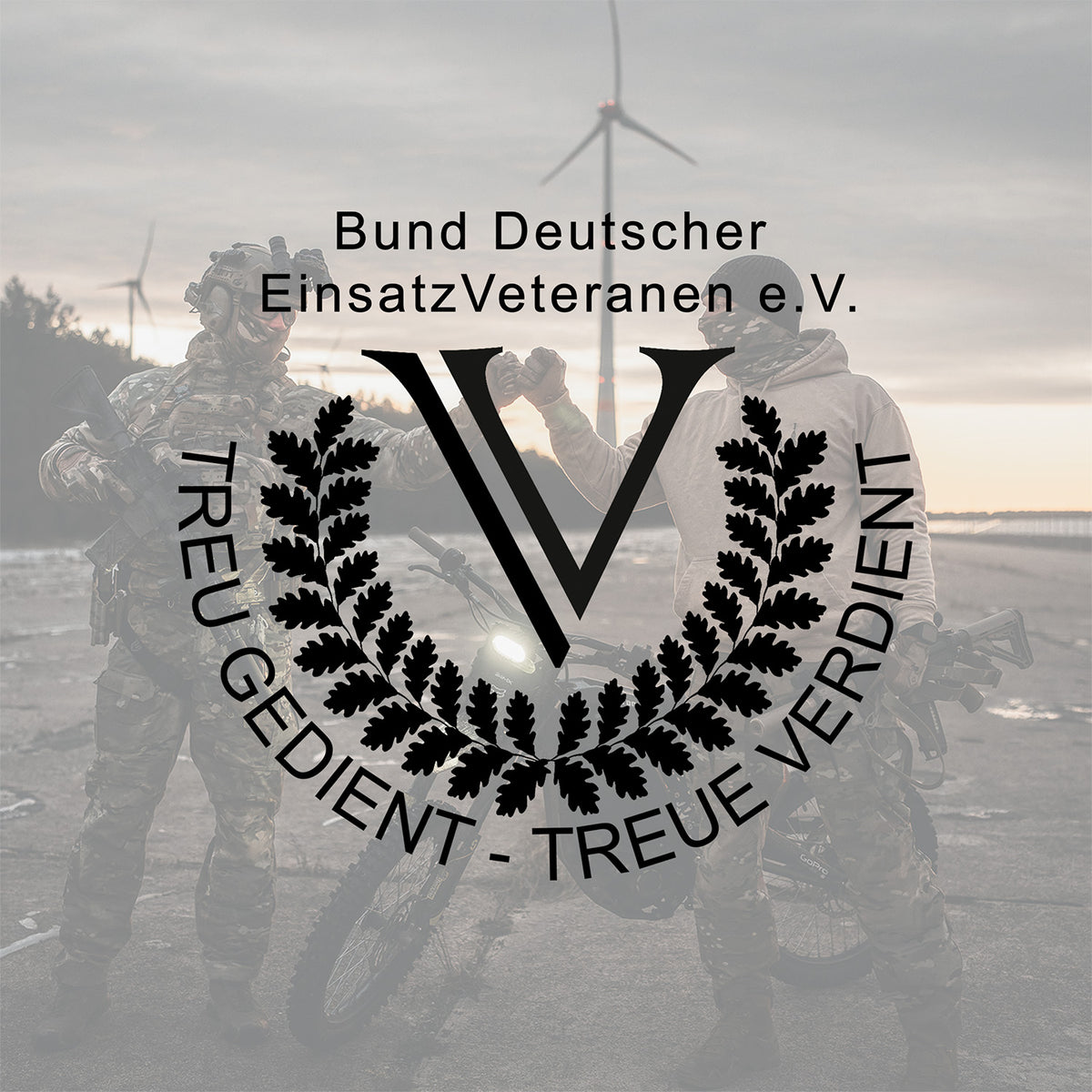 Brothers in Arms partnership with Bund Deutscher EinsatzVeteranen e.V.